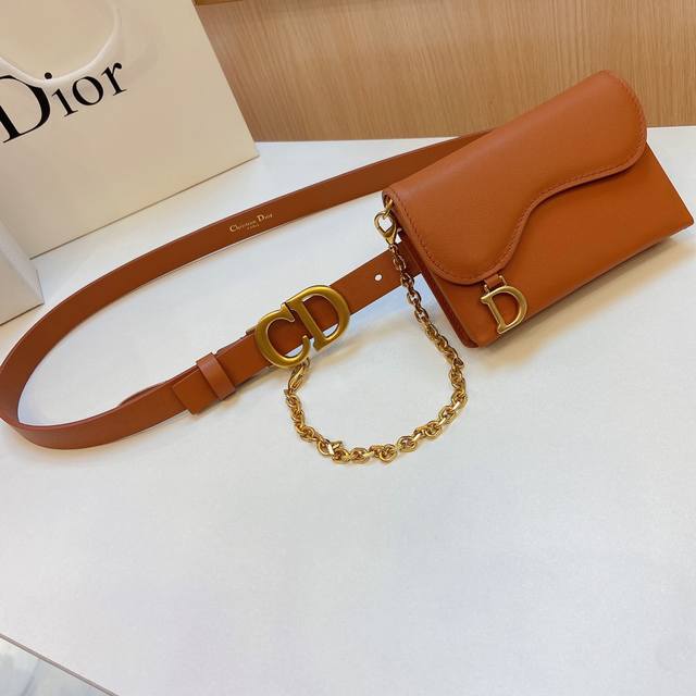 迪奥腰包，内侧饰以*Christian Dior Paris*标志 复古金色饰面金属，皮带宽度2.0Cm，包包可拆卸。 配图片包包