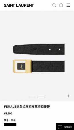 Saint Laurent 聖羅蘭女士腰帶皮帶 原廠精密電渡扣頭，意大利原廠皮，寬3.0Cm，Female鰐魚紋壓印皮革腰帶 - 点击图像关闭
