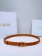 迪家 Ceinture Saddle Cuir De Veau SuéDé Couleur Light Gold, 20 Mm 这款带有陈年金色金属Cd扣的模型