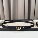 特P170 Dior 23 新款 C D搭扣黄铜小牛皮腰带 经典永存 2.0Cm
