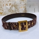 Dior 经典老花腰带 D字扣黄铜五金，5.0Cm