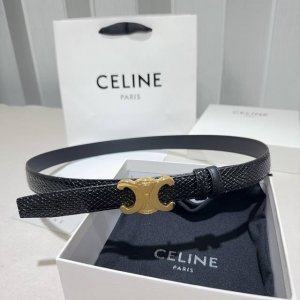Celine凯旋门蛇纹细腰｜Yyds DDD 蛇纹肌理搭配平纹牛皮+经典扣头 DDD 一根腰带解锁N种穿搭精致感 DDD 细款版型勾勒腰线超绝，搭配西装、连衣裙