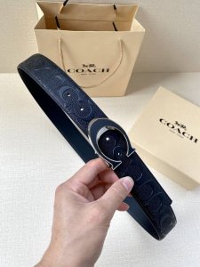 特 宽度3.8Cm Coach 这款双面腰带一面为经典标志帆布材质，另一面为精制皮革材质，配有标志性扣件，将两种外形合二为一。通过简单的说明，可用剪刀剪裁至完美