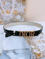 Dior D-Dream腰带采用光滑牛皮材质精心制作，搭配富有光泽的金属Dior腰带扣提升格调。突显腰部曲线，彰显优雅气质，可与牛仔裤、半身裙或连衣裙轻松搭配。