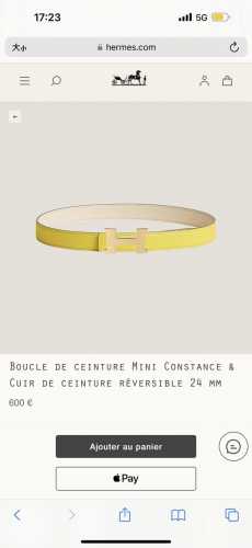 特P210 Mini Constance Belt Buckle & Reversible Leather Strap 20Mm
