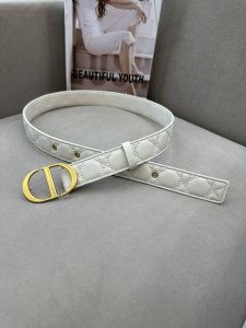 Dior官网同步，3.0 Cm羊腰带，简约大气复古五金，品质到位，永恒的美感，三色可选，长度75 －95，编号：Npj-2-3081