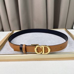 d .Ior 本季新款腰带 *C D*腰带扣可裁剪款式。富有光泽的金色饰面金属细节 30Mm精品