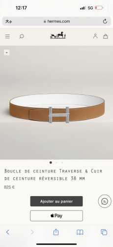 特P200 Hermes Traverse Belt Buckle & Reversible Leather Strap 40Mm