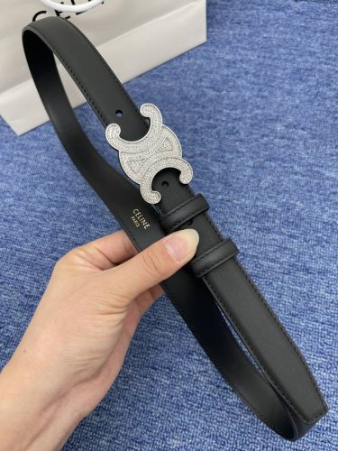【品牌】赛琳女带 No.550 2.5Cm特P180 【描述】双面原版皮不可调节式皮带，小牛皮材质，配有钯金色和银色钢金属扣 牛皮材质 不锈钢 意大利制造 腰带