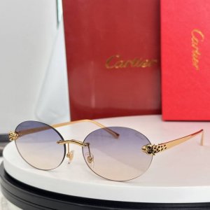 变色片 Cartie*Model Ct0475S Size: 60口18-140