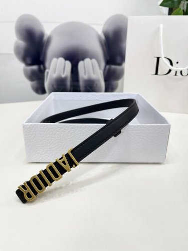 这款 D-Fence 腰带是一款优雅醒目的单品。采用黑色光滑牛皮革精心制作，饰以复古金色饰面金属Dior腰带扣。款式经典，精心突显腰部曲线，彰显优雅气质，可搭配