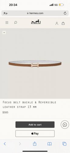 Hermes 女款 Focus Buckle & Reversible Leather Strap 3Mm
