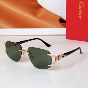 Cartie* Model：Ct01477O Size: 59口17-140