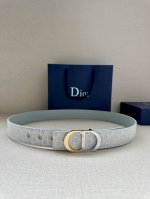 特 宽度3.5Cm 这款腰带扣是 Dior 新款单品，延续经典设计，饰以 Cd Icon 标志。光金和白色金属覆层形成鲜明的对比。可与各式 35 毫米腰带搭配，