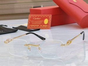 Cartie* 卡地*亚新款太阳镜，Ct0512O，Size:56口18-145