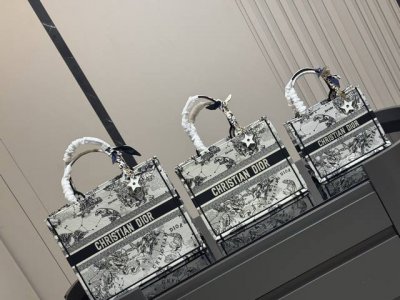 配折叠盒丝巾 需要星星挂件加 P30 Dior 原版布提花 Dior Book Tote今年最喜欢的一款购物袋 Tote我用的次数最多的包 迪奥因为容量超级大