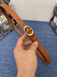 dior Chic 腰带特P180 20 毫米棕色光滑牛皮革 编号: B0667Ubgo_M900。 这款 Dior Chic 腰带是二零二五春夏成衣系列新品，