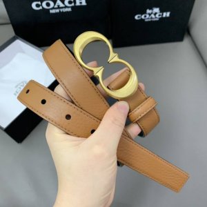 蔻驰 高品质 2.5Cm 高真空电镀五金 头层牛皮
