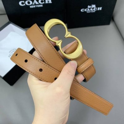 蔻驰 高品质 2.5Cm 高真空电镀五金 头层牛皮