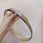 迪奥.Dior 配送专柜全套礼盒包装 D Ior 23 D-Fencedior腰带扣 内侧饰有christian Dior标志 浅金色、银色饰面金属细节 牛皮革