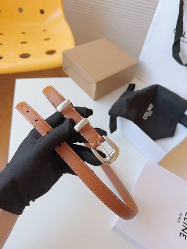 Celine 赛琳 的品牌形象出自女性之手，专为女性打造，采用舒适材料精工细作。展现女性风采的法国奢侈品牌。赛琳品牌风格浓烈、洒脱独立，让女性时刻挥洒自如，彰显