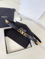 特 赛琳、Taurillon 中腰 金色饰面金属件 钩扣 每个中央方形金属件上均镌刻Celine Paris标识。 可调节均码腰带，配滑扣。