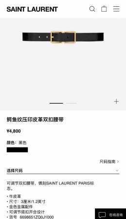 Saint Laurent 聖羅蘭女士腰帶皮帶 原廠精密電渡扣頭，意大利原廠皮，寬3.0Cm，Female鰐魚紋壓印皮革腰帶 - 点击图像关闭