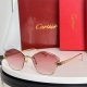 变色片 Cartie*Model Ct0476S Size: 60口18-145