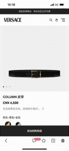 范思哲 宽4.0Cm 新款 进口头层牛皮 配有古代古典柱子启发的扣环 、插针式搭扣、