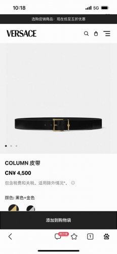 范思哲 宽4.0Cm 新款 进口头层牛皮 配有古代古典柱子启发的扣环 、插针式搭扣、