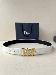 特 宽度3.5Cm Dior 这款不锈钢金属腰带扣是春季系列新品，展示 Cd Icon 标志和 Oblique Cosmo 图案，致敬 Dior 的经典图案。可