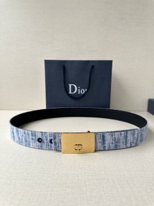 宽度3.5Cm Dior 这款不锈钢金属腰带扣是春季系列新品，展示 Cd Icon 标志和 Oblique Cosmo 图案，致敬 Dior 的经典图案。可与各
