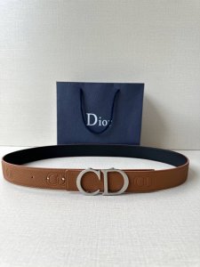 宽度3.5Cm Dior 这款腰带扣采用“Cd”标志造型，以不锈钢精心打造。可与各式 35 毫米腰带搭配，提升格调，打造优雅精致的造型。