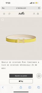 特P210 Mini Constance Belt Buckle & Reversible Leather Strap 20Mm