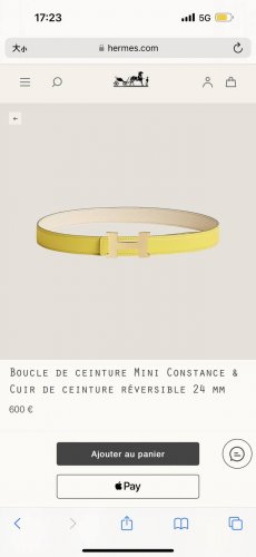 特P210 Mini Constance Belt Buckle & Reversible Leather Strap 20Mm