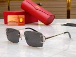 Cartie* 卡地*亚新款太阳镜，Model:Ct0092O，Size:57口18-140