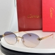 变色片 Cartie*Model Ct0475S Size: 60口18-140