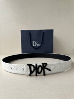 特 宽度3.5Cm Dior 这款不锈钢金属腰带扣是春季系列新品，展示 Cd Icon 标志和 Oblique Cosmo 图案，致敬 Dior 的经典图案。可