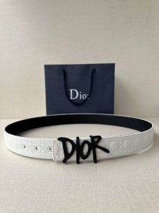 特 宽度3.5Cm Dior 这款不锈钢金属腰带扣是春季系列新品，展示 Cd Icon 标志和 Oblique Cosmo 图案，致敬 Dior 的经典图案。可
