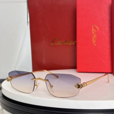 变色片 Cartie*Model Ct0476S Size: 60口18-140