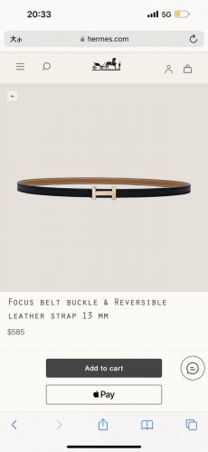 Hermes 女款 Focus Buckle & Reversible Leather Strap 3Mm