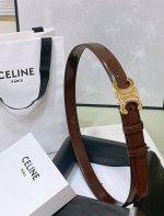 Celine 23 小号Triomphe Taurillon皮革腰带 青铜色 Taurillon.中腰，金色饰面金属件、亮面牛皮腰带 咖啡色！Triomphe皮