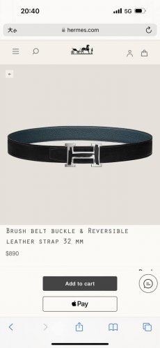 特 Brush Belt Buckle & Reversible Leather Strap 27Mm