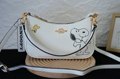 Coach 蔻驰 Cbj76 经典标志Teri单肩包Pvc配皮单肩斜挎腋下包手提包 高颜值，牛皮材质超级耐磨。比麻将包大，容量完全满足日常需求。金属配件拼接肩带
