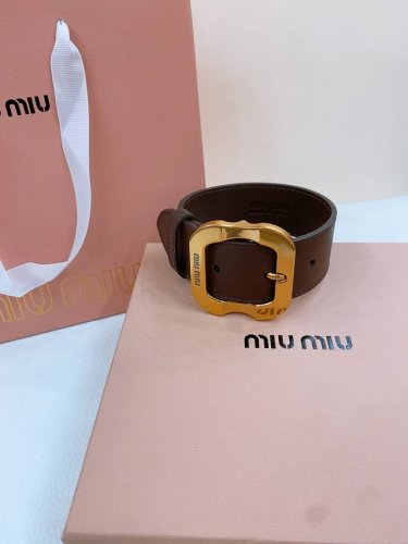 缪缪Miumiu手臂环 这款皮革腰带是提升别致造型品味的理想之选。醒目的刻字五金徽标搭配方型针扣，手感柔软细腻的小牛皮。 宽:3.4Cm