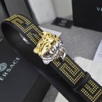 范思哲 ，宽4.0Cm， 原单货，专柜同款、实拍图，带身采用原厂进口原版皮镶满纯铜柳丁，.牛皮，结合精致的美人图扣头，时尚与美的聚焦，触碰手感舒适，有质感，清晰