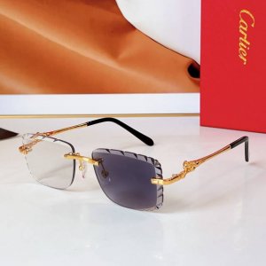 Cartie* Model：Ct0281O Size: 56口17-135