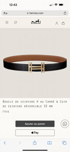 特 H Au Carre 五金搭配Togo皮带身 32Mm 金棕