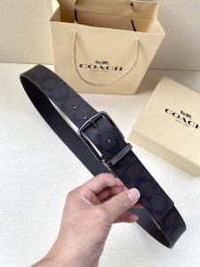 特 宽度3.8Cm Coach 这款双面腰带一面为经典标志帆布材质，另一面为精制皮革材质，配有标志性扣件，将两种外形合二为一。通过简单的说明，可用剪刀剪裁至完美