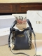 复刻版 原版布 这款Signaturea水桶包是二零二五春夏成衣系列新品,突显柔软的廓形和百搭的设计。采用蓝色Oblique印花面料等材质精心制作饰以同色调光滑